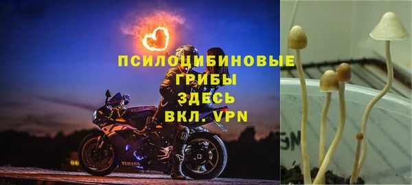 СК Алексеевка