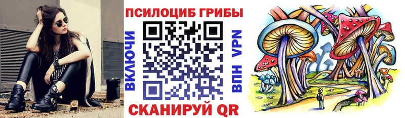 Псилоцибиновые грибы прущие грибы  где купить наркоту  Ардатов 